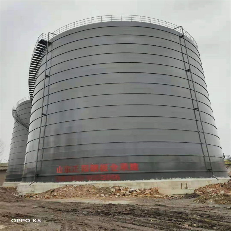 镇坪3万吨大型钢板库