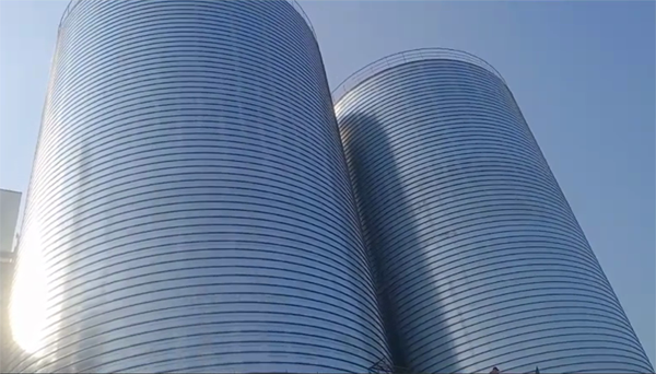 镇坪2座混凝土高架卷板仓